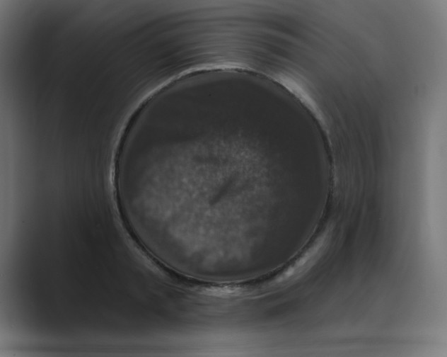 X0000088430797200706191233
