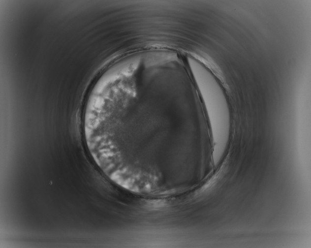 X0000088430798200706191233