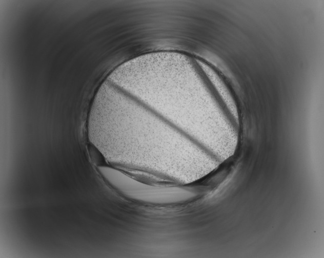 X0000088430801200706191233