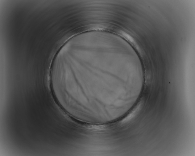 X0000088430802200706191233