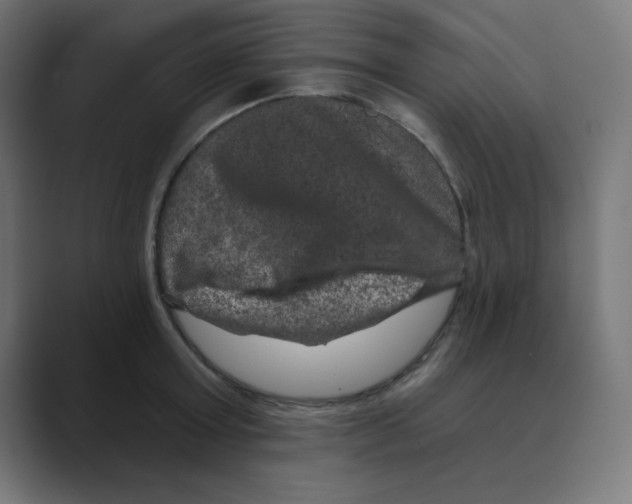 X0000088430803200706191233