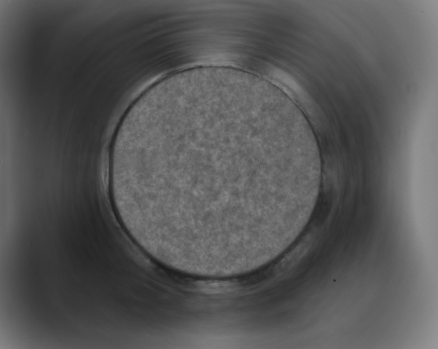 X0000088430804200706191233