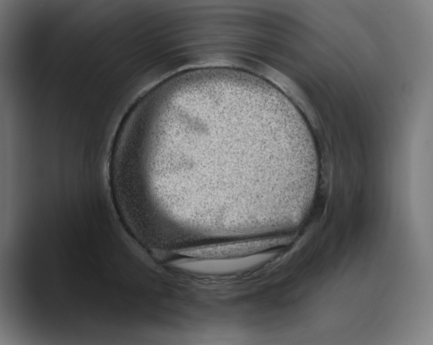 X0000088430805200706191233