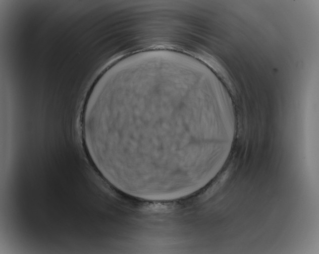 X0000088430806200706191233