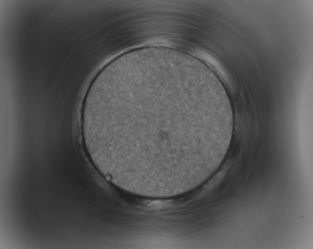 X0000088430808200706191233