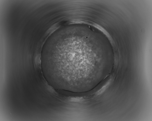 X0000088430809200706191233