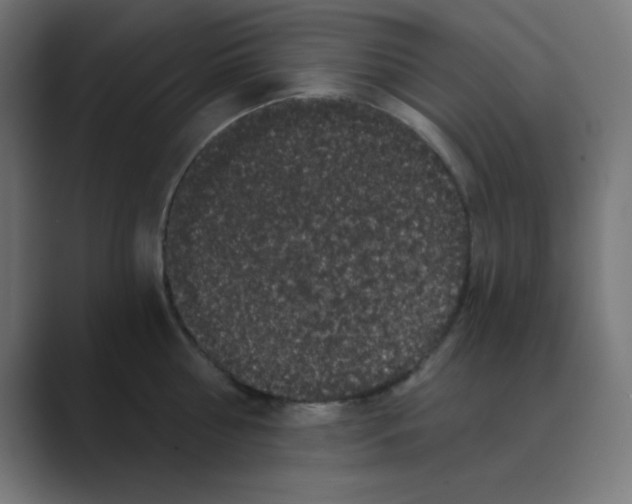 X0000088430810200706191233