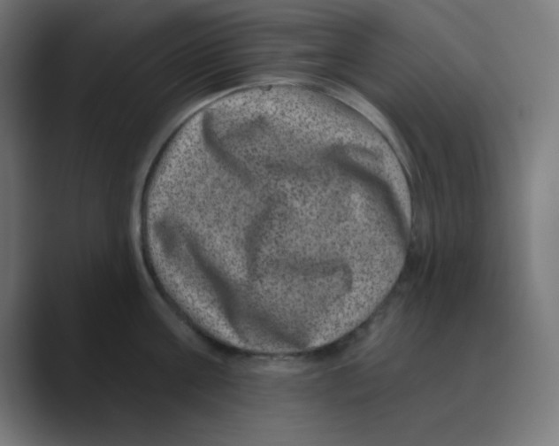 X0000088430811200706191233