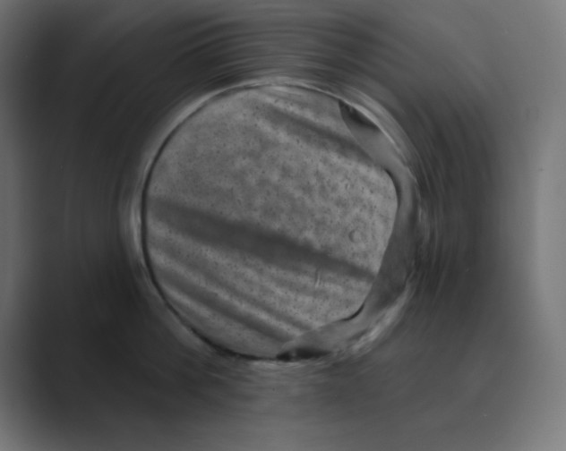 X0000088430812200706191233