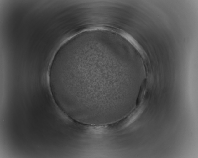 X0000088430813200706191233