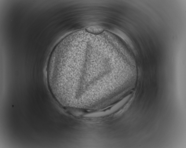 X0000088430814200706191233