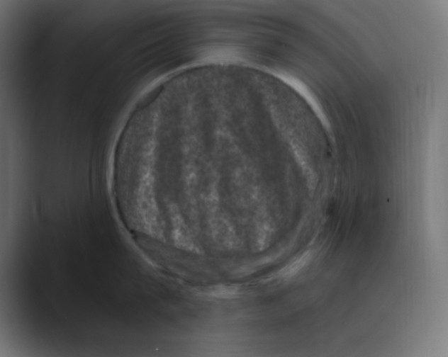 X0000088430815200706191233