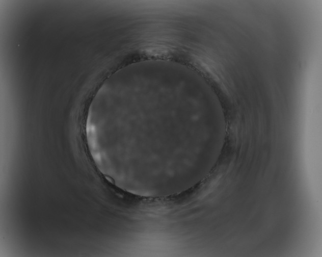 X0000088430817200706191232