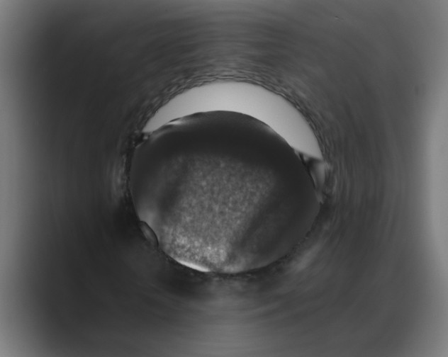 X0000088430818200706191232