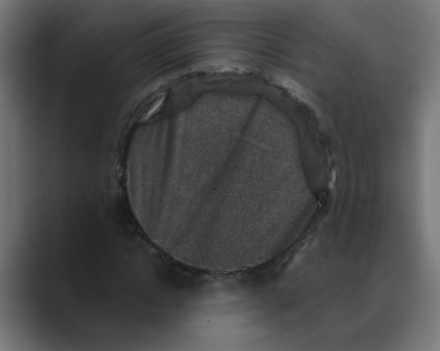 X0000088430822200706191232