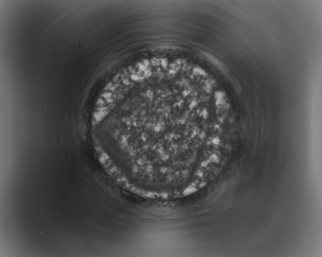 X0000088430823200706191232