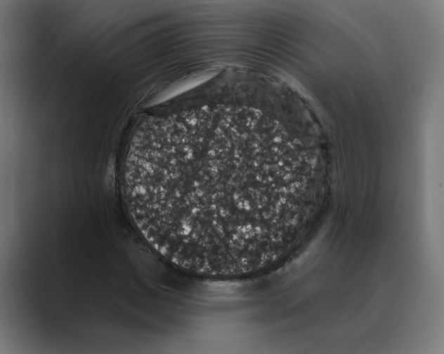 X0000088430825200706191232