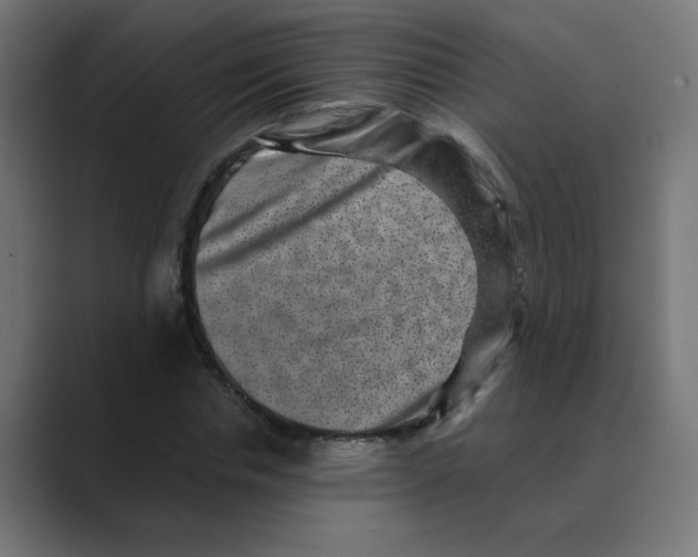 X0000088430826200706191232