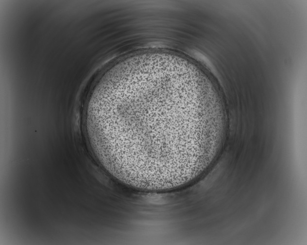 X0000088430827200706191232