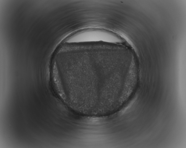 X0000088430829200706191232