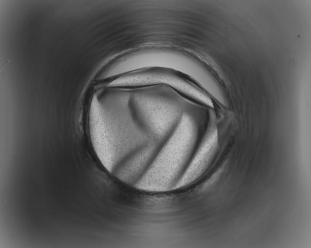 X0000088430830200706191232