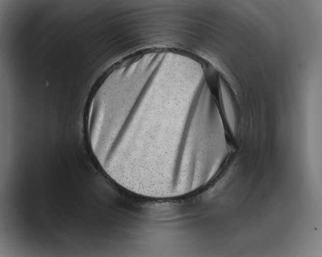 X0000088430834200706191232