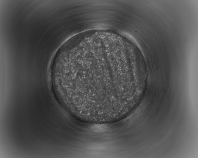 X0000088430835200706191232