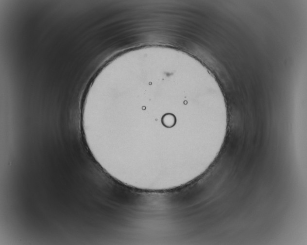 X0000088430836200706191232