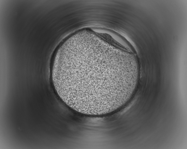 X0000088430837200706191232