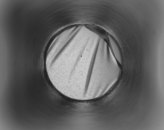 X0000088430838200706191232