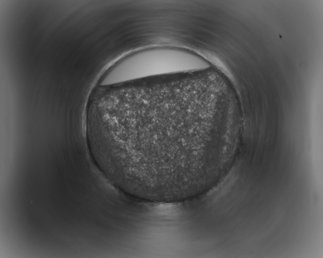 X0000088430839200706191232