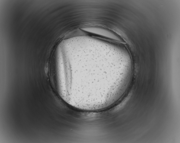X0000088430841200706191232