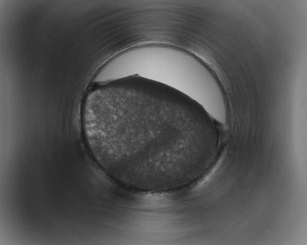 X0000088430842200706191232