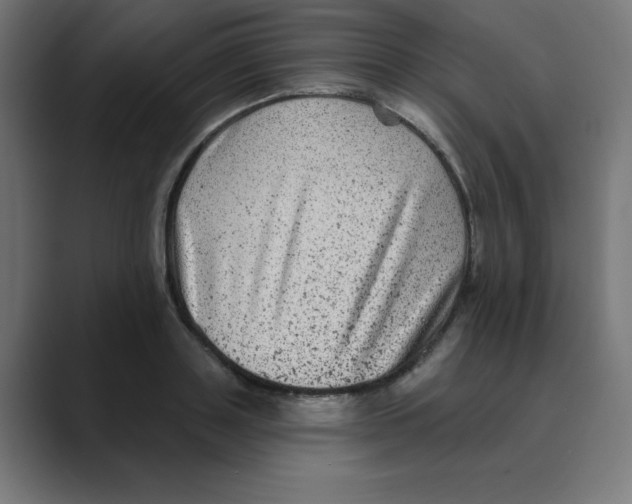 X0000088430843200706191232