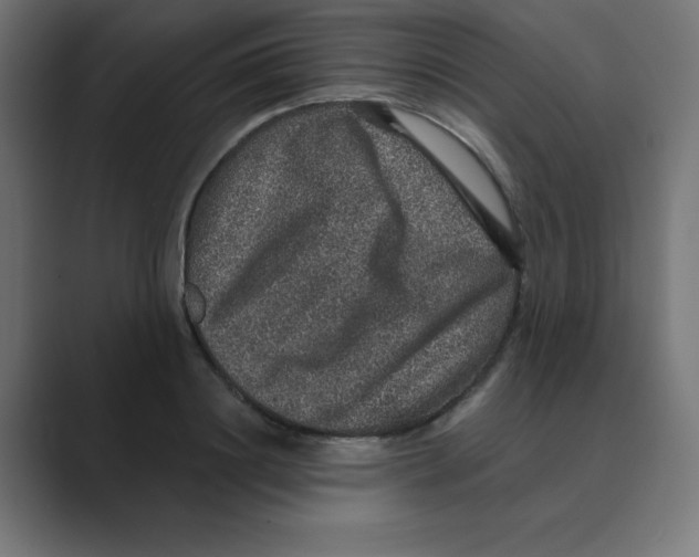 X0000088430844200706191232