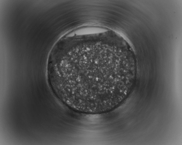 X0000088430845200706191232