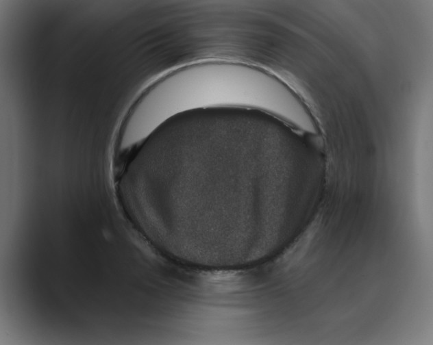 X0000088430846200706191232