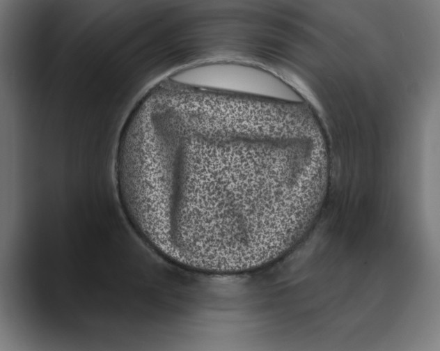 X0000088430847200706191232