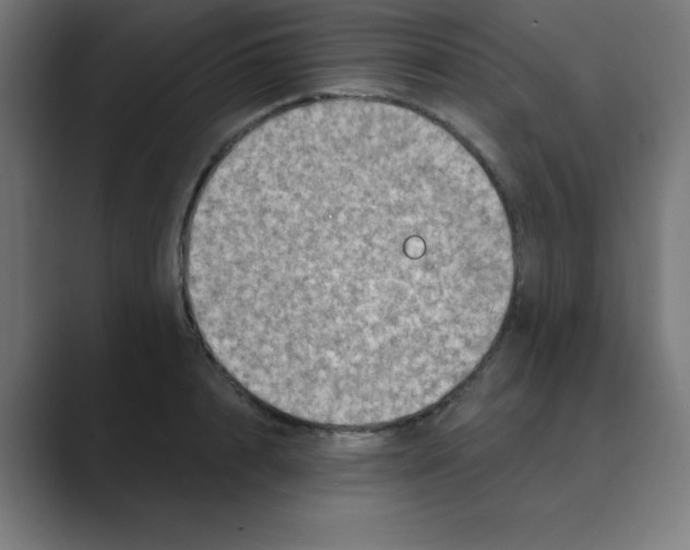 X0000088430848200706191232