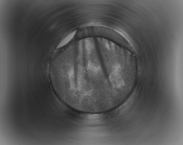 X0000088430849200706191232