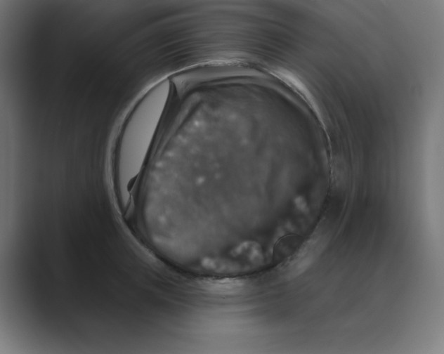 X0000088430851200706191233