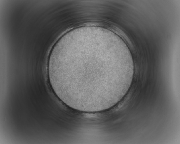 X0000088430852200706191233