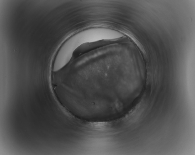 X0000088430853200706191233