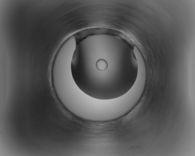 X0000088430854200706191233