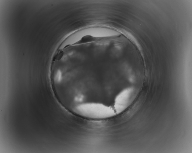 X0000088430855200706191233