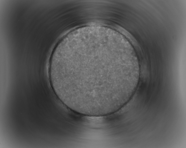 X0000088430856200706191233