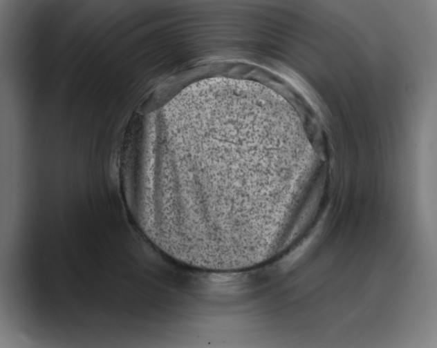 X0000088430857200706191233