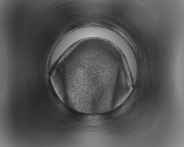 X0000088430858200706191233