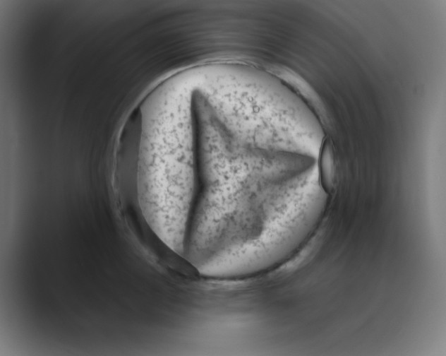 X0000088430860200706191233