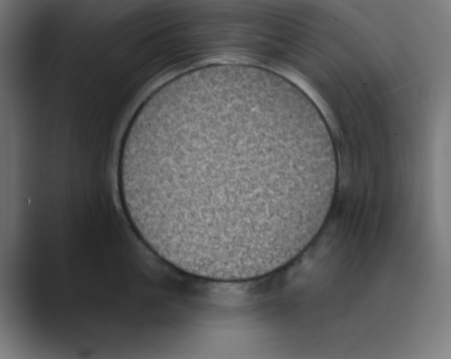 X0000088430861200706191233
